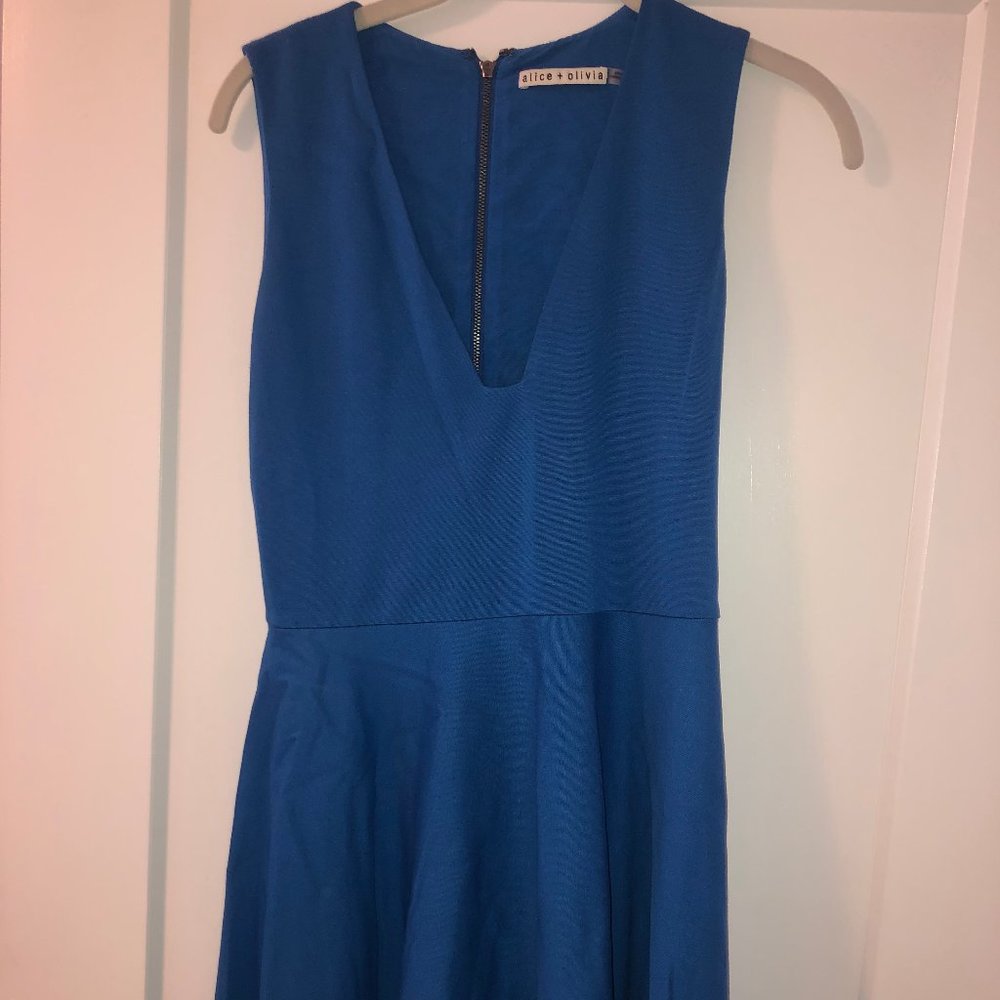 Alice and Olivia fit and flare dress